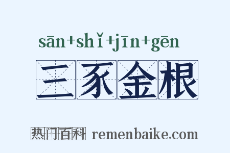 三豕金根是什么意思的图片